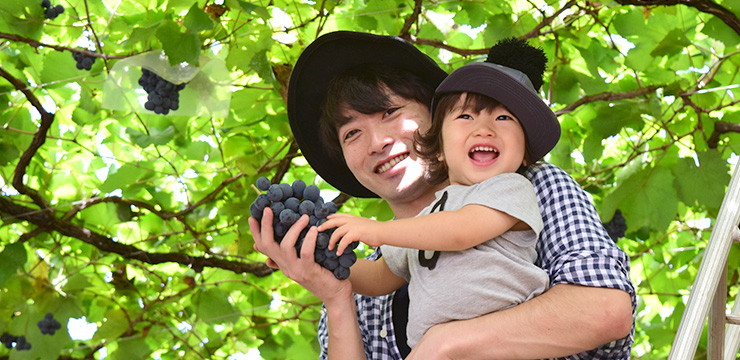 Tanaka Grape Garden